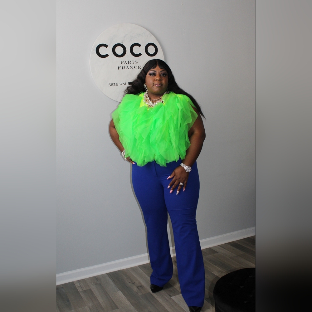 NWOT Ruffle Tulle Top